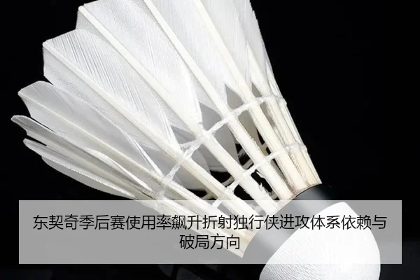 东契奇季后赛使用率飙升折射独行侠进攻体系依赖与破局方向