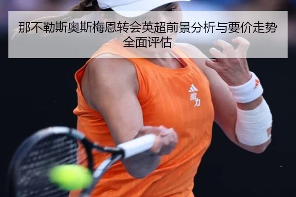那不勒斯奥斯梅恩转会英超前景分析与要价走势全面评估