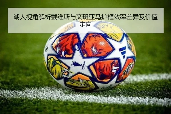 湖人视角解析戴维斯与文班亚马护框效率差异及价值走向